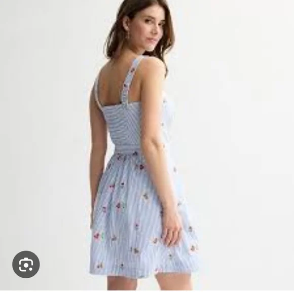 Draper James Blue and White Striped Dress with Red Floral Embroidery - Picture 4 of 6